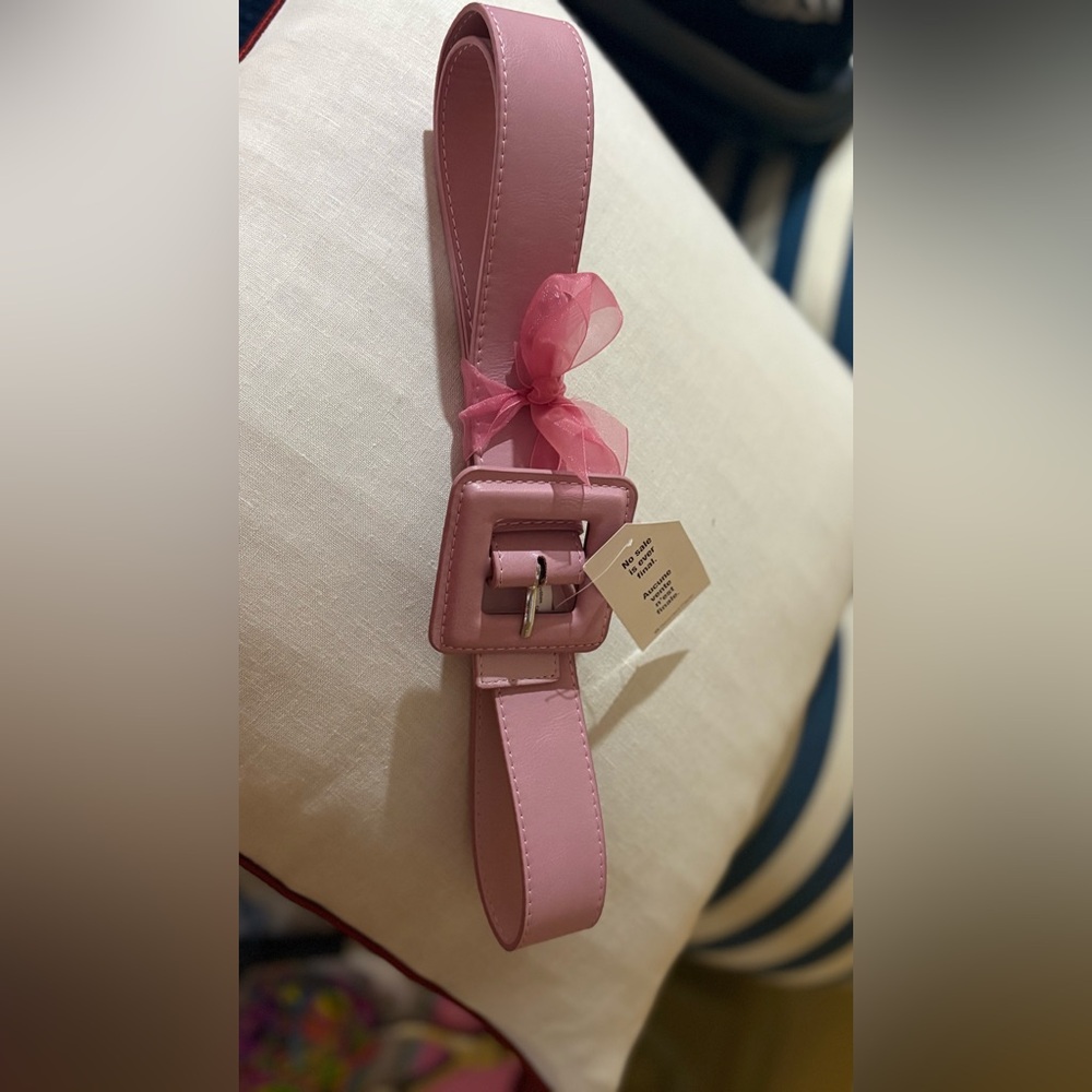 Belt pink